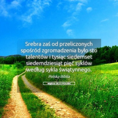 Picture 05 - Wyjścia 38:25 POLUBG - Srebra zaś od przeliczonych spośród - Bible Verse Picture