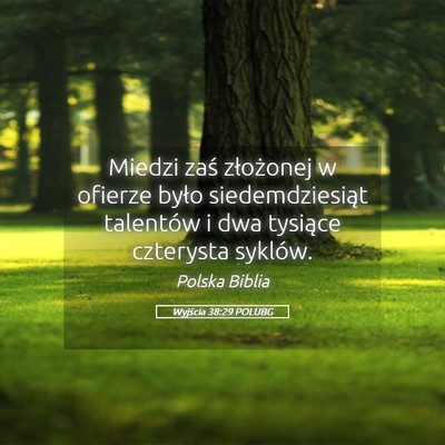 Picture 05 - Wyjścia 38:29 POLUBG - Miedzi zaś złożonej w ofierze było - Bible Verse Picture