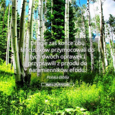 Picture 05 - Wyjścia 39:18 POLUBG - Drugie zaś końce obu łańcuszków przymocowali - Bible Verse Picture