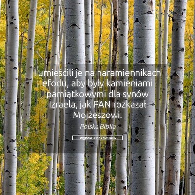 Picture 05 - Wyjścia 39:7 POLUBG - I umieścili je na naramiennikach efodu, aby - Bible Verse Picture