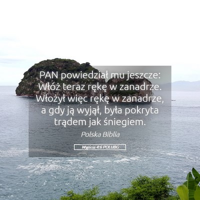 Picture 05 - Wyjścia 4:6 POLUBG - PAN powiedział mu jeszcze: Włóż teraz rękę - Bible Verse Picture