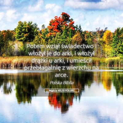 Picture 05 - Wyjścia 40:20 POLUBG - Potem wziął świadectwo i włożył je do arki, - Bible Verse Picture