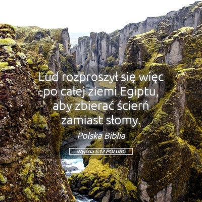 Picture 05 - Wyjścia 5:12 POLUBG - Lud rozproszył się więc po całej ziemi - Bible Verse Picture