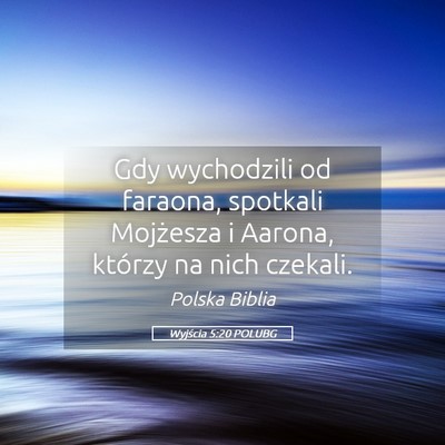 Picture 05 - Wyjścia 5:20 POLUBG - Gdy wychodzili od faraona, spotkali Mojżesza i - Bible Verse Picture