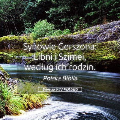 Picture 05 - Wyjścia 6:17 POLUBG - Synowie Gerszona: Libni i Szimei, według ich - Bible Verse Picture