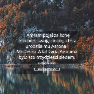 Picture 05 - Wyjścia 6:20 POLUBG - I Amram pojął za żonę Jokebed, swoją - Bible Verse Picture