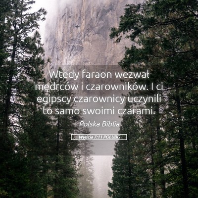 Picture 05 - Wyjścia 7:11 POLUBG - Wtedy faraon wezwał mędrców i czarowników. I - Bible Verse Picture