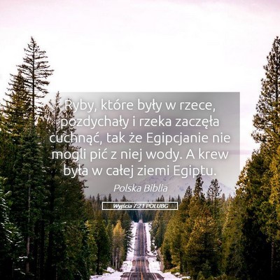 Picture 05 - Wyjścia 7:21 POLUBG - Ryby, które były w rzece, pozdychały i rzeka - Bible Verse Picture
