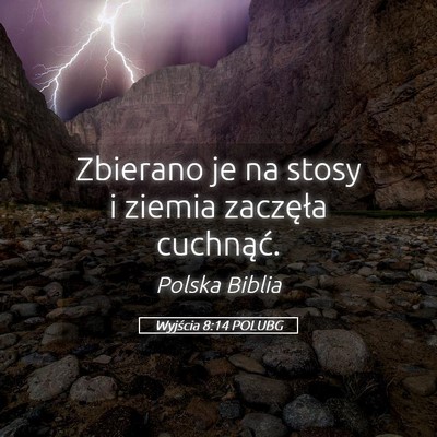 Picture 05 - Wyjścia 8:14 POLUBG - Zbierano je na stosy i ziemia zaczęła - Bible Verse Picture