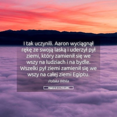 Picture 05 - Wyjścia 8:17 POLUBG - I tak uczynili. Aaron wyciągnął rękę ze - Bible Verse Picture