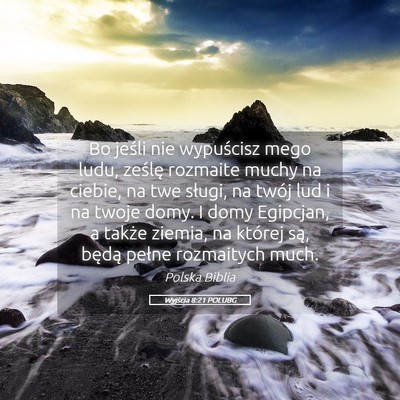 Picture 05 - Wyjścia 8:21 POLUBG - Bo jeśli nie wypuścisz mego ludu, ześlę - Bible Verse Picture