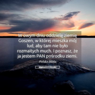 Picture 05 - Wyjścia 8:22 POLUBG - W owym dniu oddzielę ziemię Goszen, w której - Bible Verse Picture