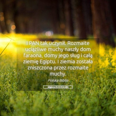 Picture 05 - Wyjścia 8:24 POLUBG - I PAN tak uczynił. Rozmaite uciążliwe muchy - Bible Verse Picture