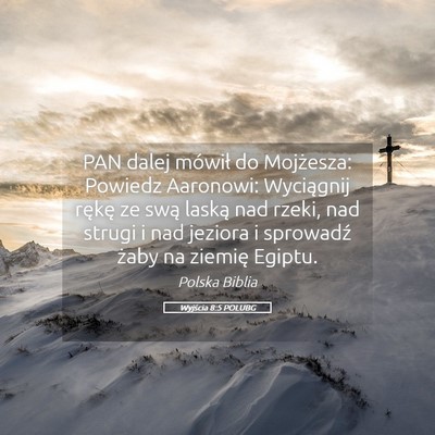 Picture 05 - Wyjścia 8:5 POLUBG - PAN dalej mówił do Mojżesza: Powiedz Aaronowi: - Bible Verse Picture