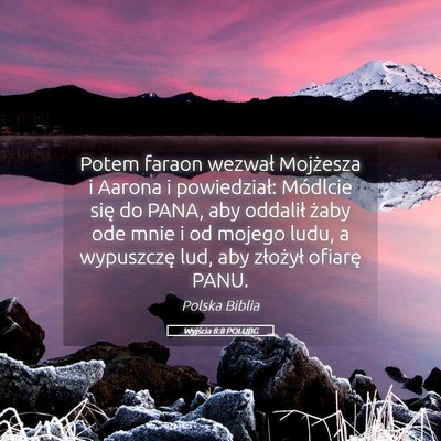 Picture 05 - Wyjścia 8:8 POLUBG - Potem faraon wezwał Mojżesza i Aarona i - Bible Verse Picture