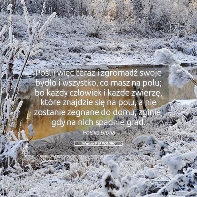 Picture 05 - Wyjścia 9:19 POLUBG - Poślij więc teraz i zgromadź swoje bydło i - Bible Verse Picture
