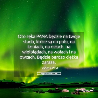 Picture 05 - Wyjścia 9:3 POLUBG - Oto ręka PANA będzie na twoje stada, które są - Bible Verse Picture