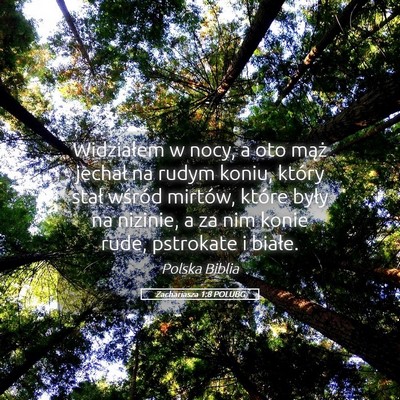 Picture 05 - Zachariasza 1:8 POLUBG - Widziałem w nocy, a oto mąż jechał na rudym - Bible Verse Picture