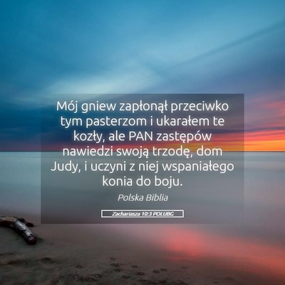 Picture 05 - Zachariasza 10:3 POLUBG - Mój gniew zapłonął przeciwko tym pasterzom i - Bible Verse Picture