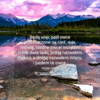 Picture 05 - Zachariasza 11:7 POLUBG - Będę więc pasł owce przeznaczone na rzeź, - Bible Verse Picture