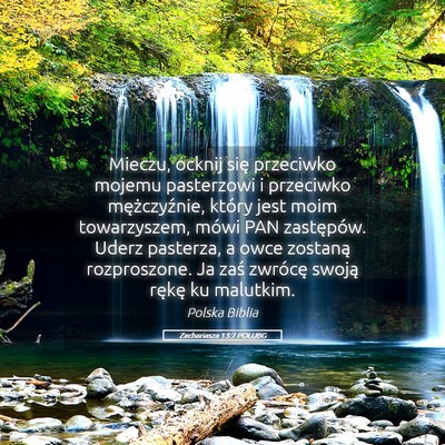Picture 05 - Zachariasza 13:7 POLUBG - Mieczu, ocknij się przeciwko mojemu pasterzowi i - Bible Verse Picture
