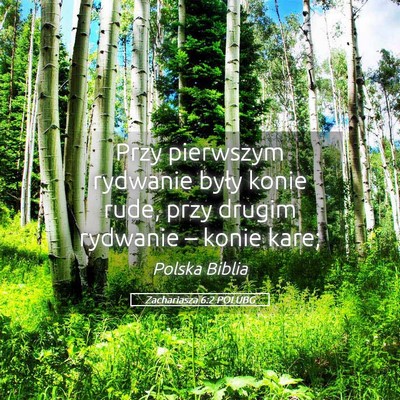 Picture 05 - Zachariasza 6:2 POLUBG - Przy pierwszym rydwanie były konie rude, przy - Bible Verse Picture