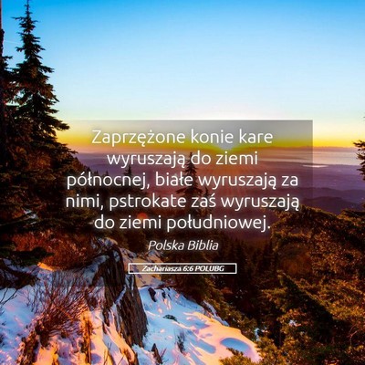 Picture 05 - Zachariasza 6:6 POLUBG - Zaprzężone konie kare wyruszają do ziemi - Bible Verse Picture