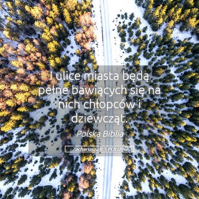 Picture 05 - Zachariasza 8:5 POLUBG - I ulice miasta będą pełne bawiących się na - Bible Verse Picture