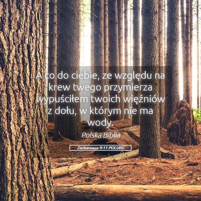 Picture 05 - Zachariasza 9:11 POLUBG - A co do ciebie, ze względu na krew twego - Bible Verse Picture