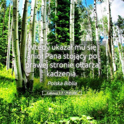 Picture 05 - Łukasza 1:11 POLUBG - Wtedy ukazał mu się anioł Pana stojący po - Bible Verse Picture