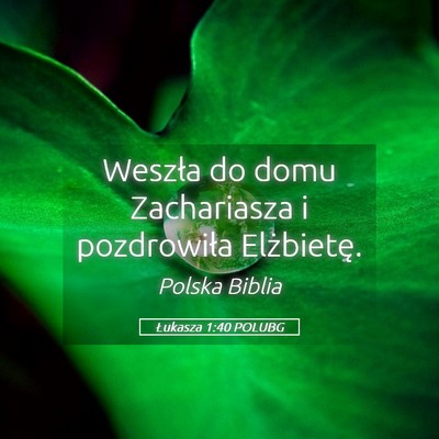 Picture 05 - Łukasza 1:40 POLUBG - Weszła do domu Zachariasza i pozdrowiła - Bible Verse Picture