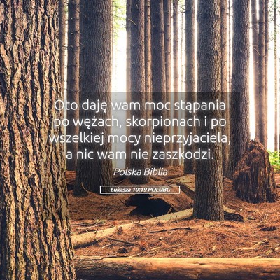 Picture 05 - Łukasza 10:19 POLUBG - Oto daję wam moc stąpania po wężach, - Bible Verse Picture