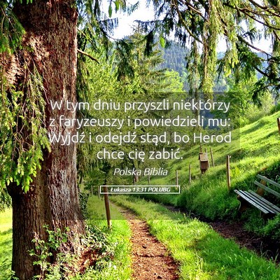 Picture 05 - Łukasza 13:31 POLUBG - W tym dniu przyszli niektórzy z faryzeuszy i - Bible Verse Picture