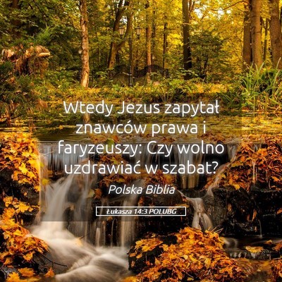 Picture 05 - Łukasza 14:3 POLUBG - Wtedy Jezus zapytał znawców prawa i faryzeuszy: - Bible Verse Picture