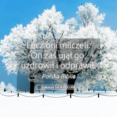 Picture 05 - Łukasza 14:4 POLUBG - Lecz oni milczeli. On zaś ujął go, uzdrowił i - Bible Verse Picture