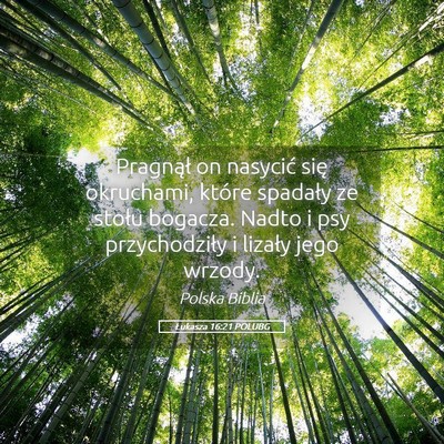 Picture 05 - Łukasza 16:21 POLUBG - Pragnął on nasycić się okruchami, które - Bible Verse Picture