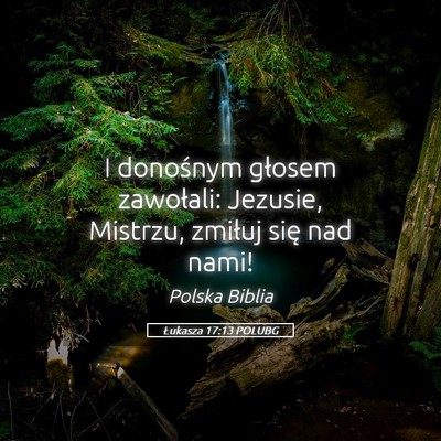 Picture 05 - Łukasza 17:13 POLUBG - I donośnym głosem zawołali: Jezusie, Mistrzu, - Bible Verse Picture