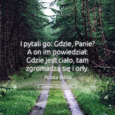 Picture 05 - Łukasza 17:37 POLUBG - I pytali go: Gdzie, Panie? A on im powiedział: - Bible Verse Picture