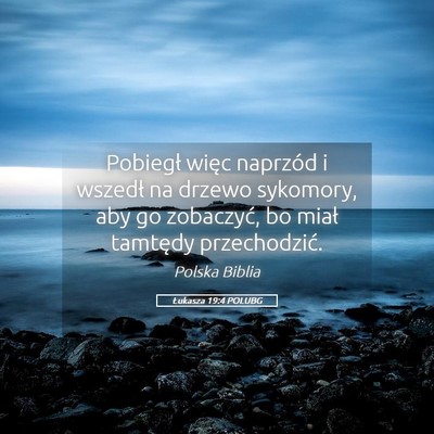 Picture 05 - Łukasza 19:4 POLUBG - Pobiegł więc naprzód i wszedł na drzewo - Bible Verse Picture