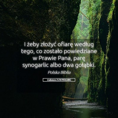 Picture 05 - Łukasza 2:24 POLUBG - I żeby złożyć ofiarę według tego, co - Bible Verse Picture