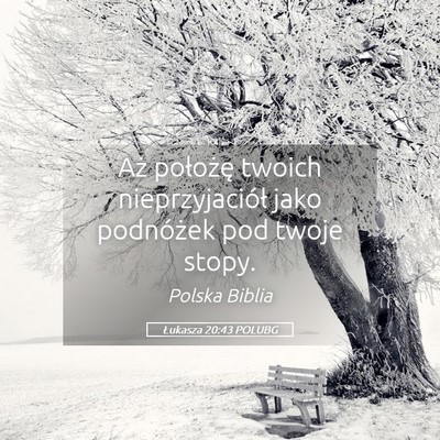 Picture 05 - Łukasza 20:43 POLUBG - Aż położę twoich nieprzyjaciół jako - Bible Verse Picture