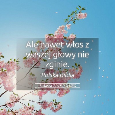 Picture 05 - Łukasza 21:18 POLUBG - Ale nawet włos z waszej głowy nie - Bible Verse Picture