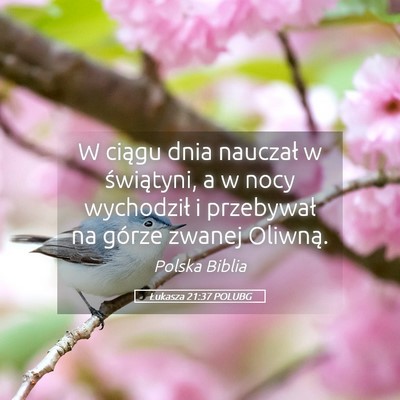 Picture 05 - Łukasza 21:37 POLUBG - W ciągu dnia nauczał w świątyni, a w nocy - Bible Verse Picture