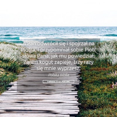 Picture 05 - Łukasza 22:61 POLUBG - A Pan odwrócił się i spojrzał na Piotra. I - Bible Verse Picture