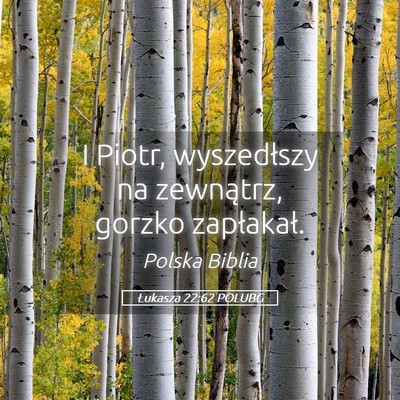 Picture 05 - Łukasza 22:62 POLUBG - I Piotr, wyszedłszy na zewnątrz, gorzko - Bible Verse Picture