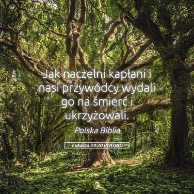 Picture 05 - Łukasza 24:20 POLUBG - Jak naczelni kapłani i nasi przywódcy wydali go - Bible Verse Picture