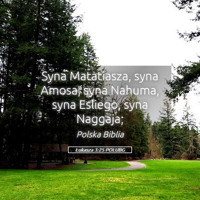 Picture 05 - Łukasza 3:25 POLUBG - Syna Matatiasza, syna Amosa, syna Nahuma, syna - Bible Verse Picture