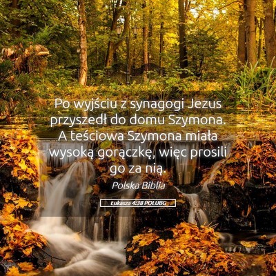 Picture 05 - Łukasza 4:38 POLUBG - Po wyjściu z synagogi Jezus przyszedł do domu - Bible Verse Picture