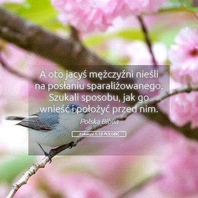 Picture 05 - Łukasza 5:18 POLUBG - A oto jacyś mężczyźni nieśli na posłaniu - Bible Verse Picture