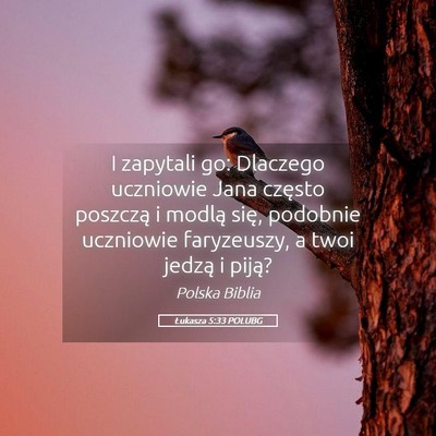 Picture 05 - Łukasza 5:33 POLUBG - I zapytali go: Dlaczego uczniowie Jana często - Bible Verse Picture